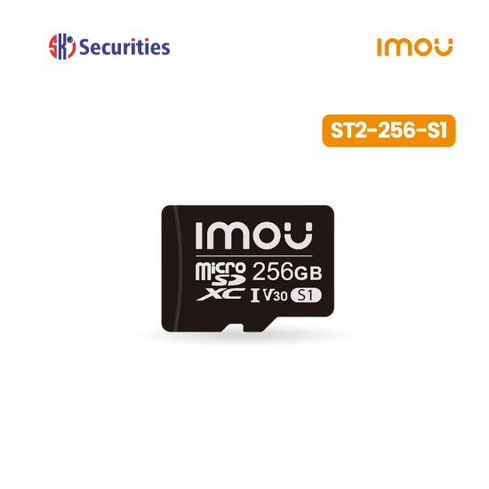 SD CARD 256 GB